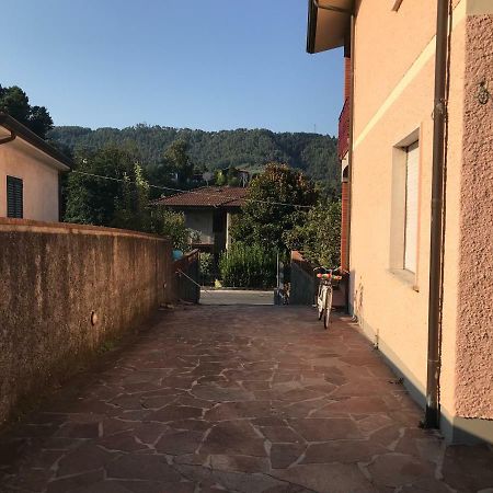 Villa Ester Camaiore Kültér fotó
