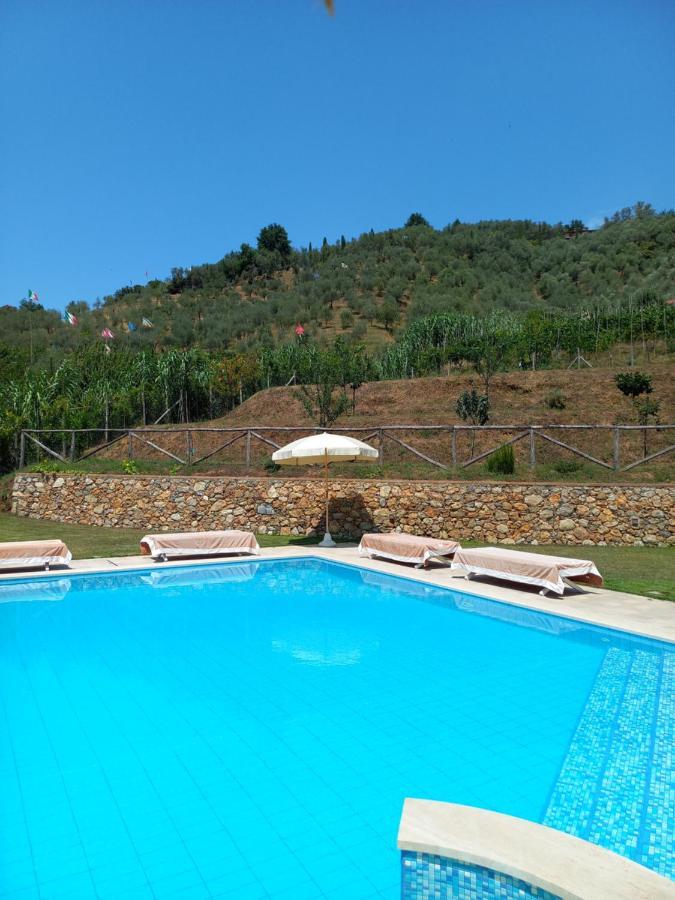Villa Ester Camaiore Kültér fotó