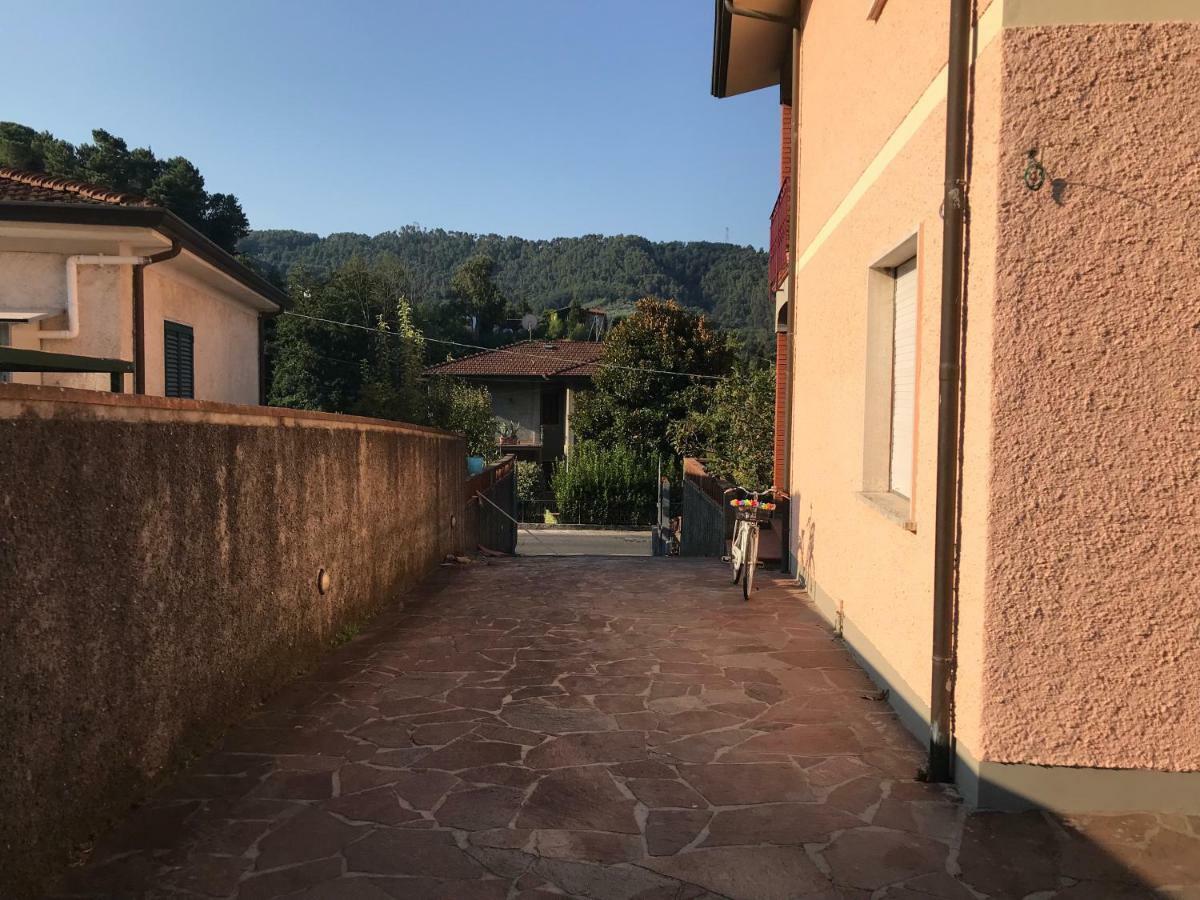 Villa Ester Camaiore Kültér fotó